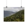 Rainforest - Image 6